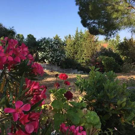 Despina And Apartment *