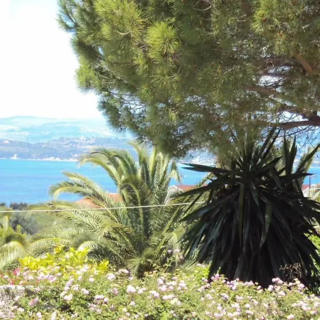 Despina And Apartment