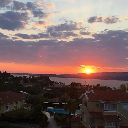 Despina And Apartment